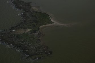 Silver gull rookery, Coorong, aerial waterbird survey, 2025
