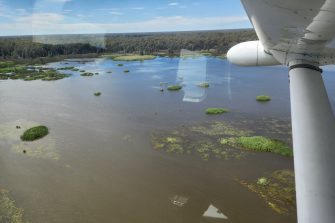 Barmah Lake, aerial waterbird survey, 2025