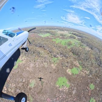 Barmah wetlands, aerial waterbird survey, 2025