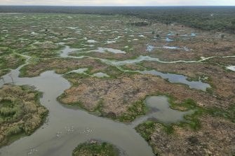 Great Cumbung Swamp, floodplain, aerial waterbird survey, 2025
