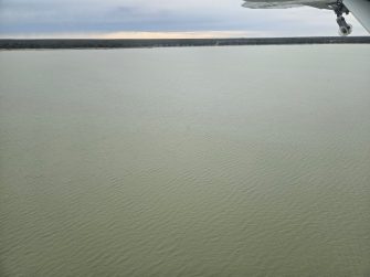 Lake Waljeers, Booligal System, aerial waterbird survey, 2025