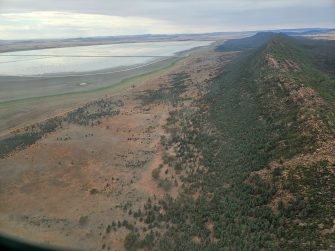 Lake Brewster, aerial waterbird survey, 2025