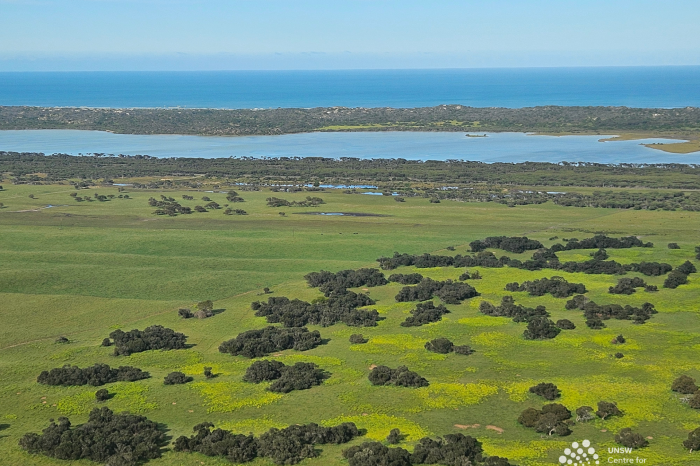 Aerial view of lush green land with water and sky in distance 