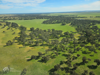 Aerial view of lush green land and trees with sky in distance 