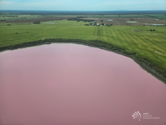 Aerial view of vast pink coloured lake with green land and sky in distance