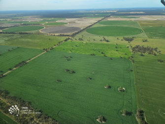 Aerial view of grren fields with circular fields in distance and sky in far distance
