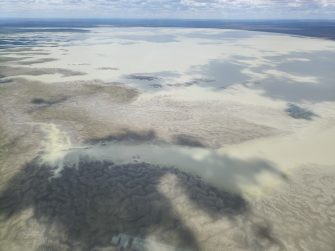 Aerial view of grey drying wetland 