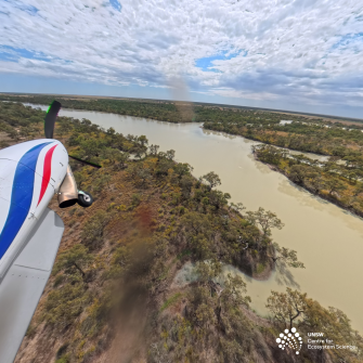 View of front section of light plane over bushland and water course at right with some green vegetation