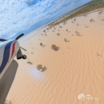View of front section of light plane over brown water scattered with a few trees and some green vegetation at right