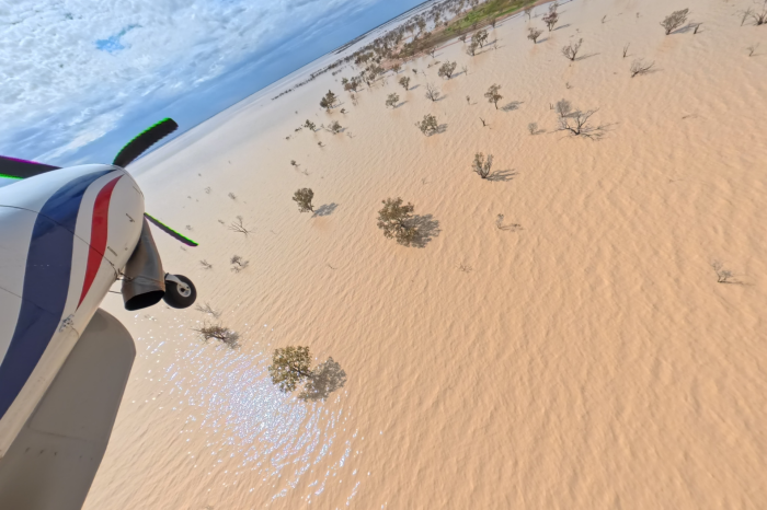 View of front section of light plane over brown water scattered with a few trees and some green vegetation at right