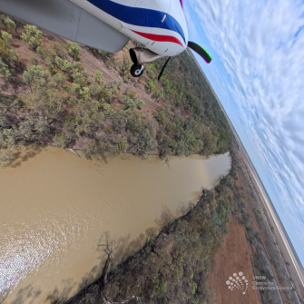 View of front section of light plane over brown water course with trees either side