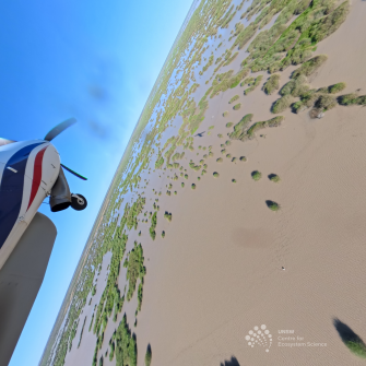 View of front section of light plane from wing over brown water with some green vegetation