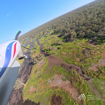 View of front section of light plane over green vegetation