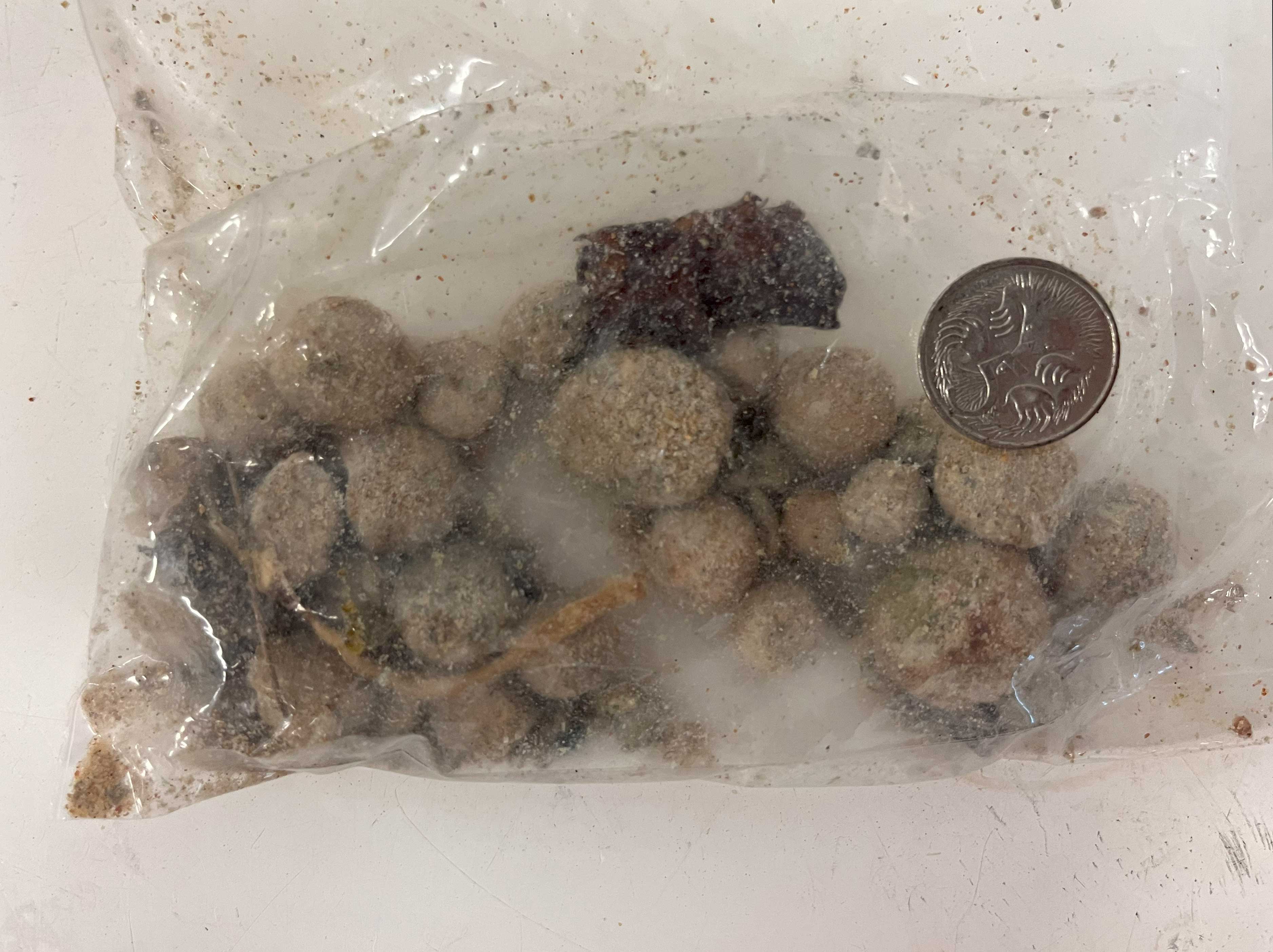 The beach debris that washed up on Dee Why beach, collected by scientists from UNSW Chemistry