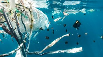 Plastic waste in the ocean