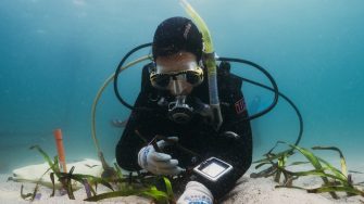 Richard Woodgett scuba diving for Operation Posidonia