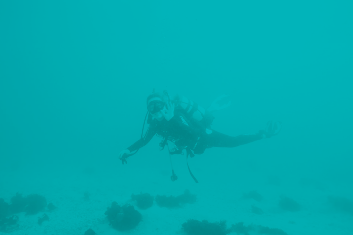 Future You Pathfinder images