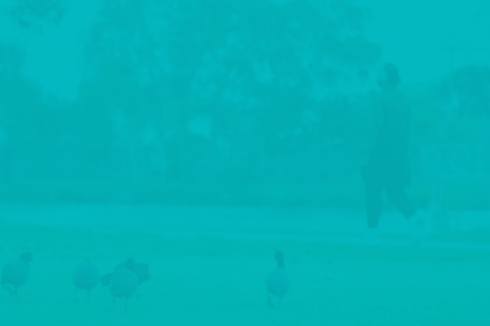 Future You Pathfinder images