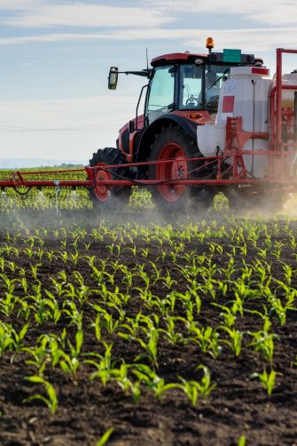 Tractor spraying young corn with pesticides