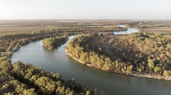 landscape of Murray river at sunrise