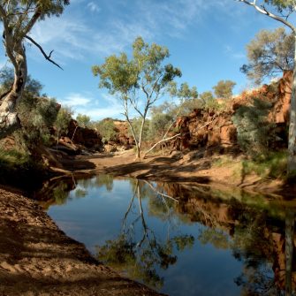 landscape of river and trees in Western Australia