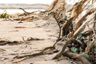 Scientia PhD Scholarship: Mapping marine debris risk around Australia
