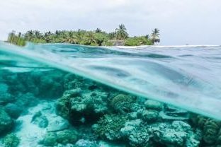 Scientia PhD Scholarship: Atmospheric transport of microplastics and deposition on the South Pacific