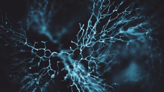 Abstract blue neuron pattern