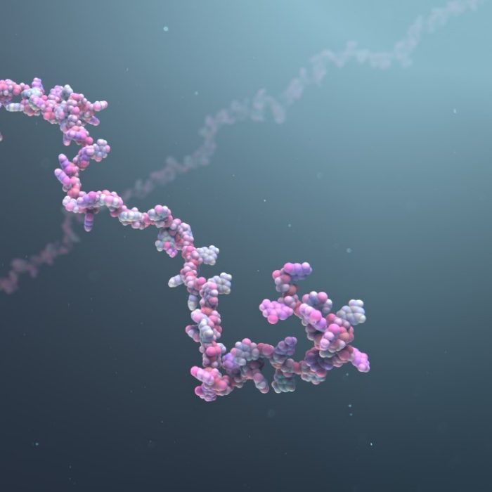 Digital image of RNA