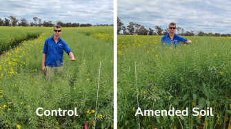 Comparison of control and amended soil, provided by NSW DPI