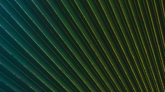 Green and blue striped textile