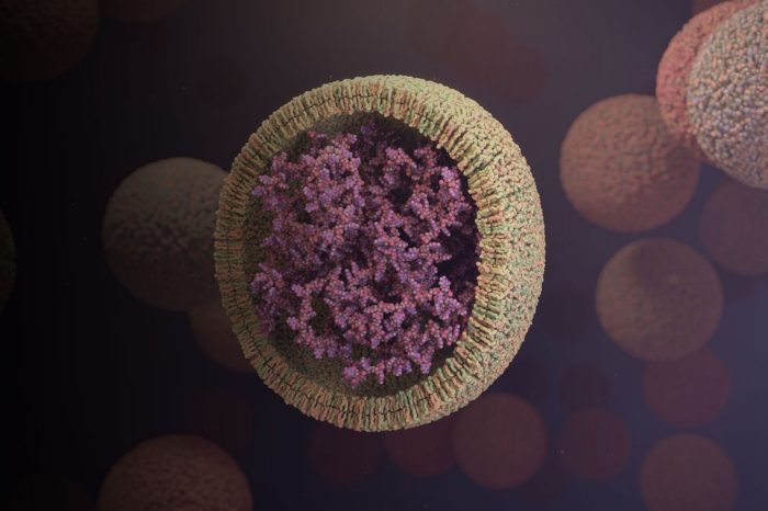 A cutaway illustration revealing mRNA of a vaccine delivered within an envelope of lipid molecules.