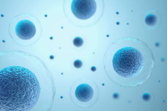 3d rendering of human cells in a blue background
