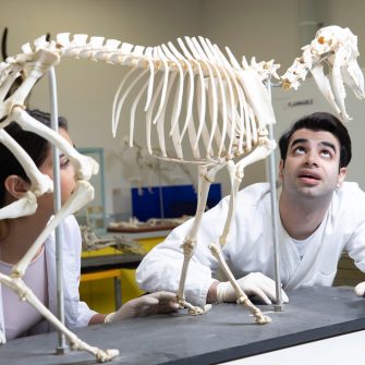 Student in Science Lab with dinosaur skeleton