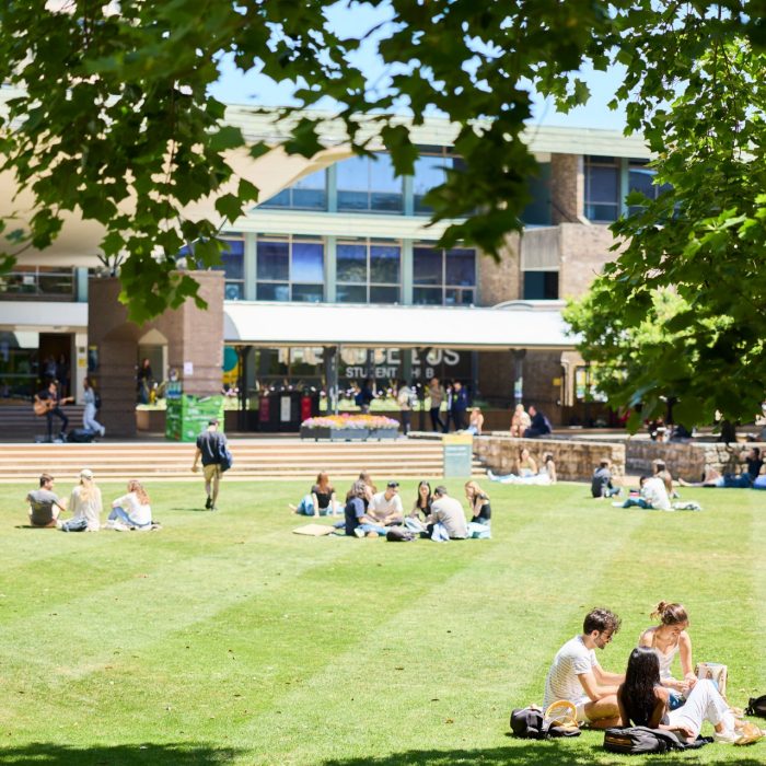 Students relaxing on Library lawn at Kensington UNSW.