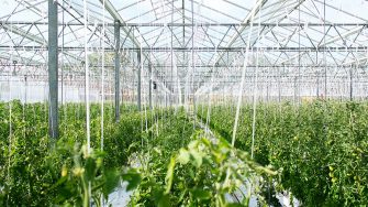 Food and health expert Johannes le Coutre in conversation with journalist Joanna Savill explore the future of food.