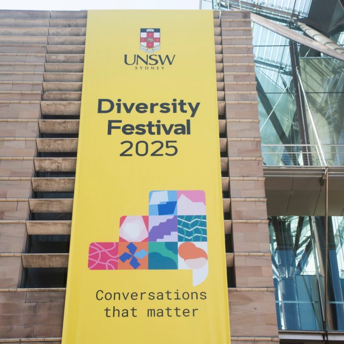 Diversity Festival 2025 Images