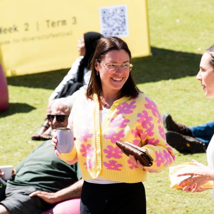 Diversity Festival 2025 Images