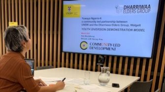 eta MacGillivray is the Youth Justice Advisor on the model