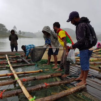 Addressing malnourishment through sustainable fish farming in PNG