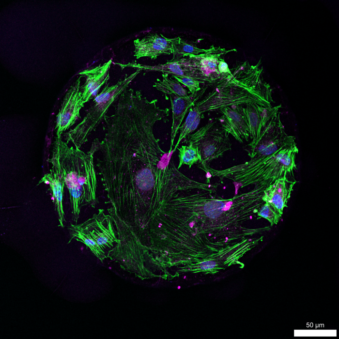 The Illuminators: Scope for Change 2025