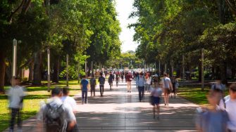 Main walkway on the UNSW Kensington campus