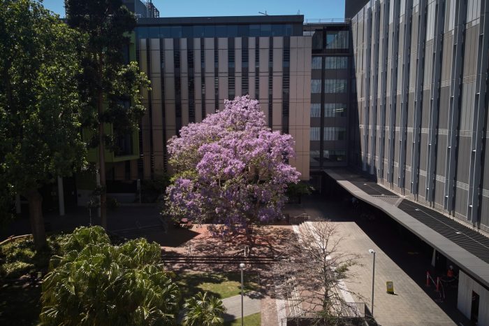 UNSW Kensington campus aerial photography