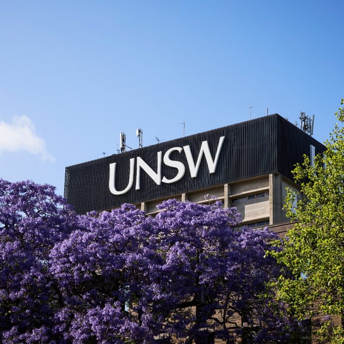 Purple Jacarandas blooming with UNSW Library in the background 