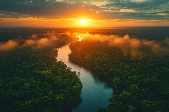 Golden sunset over lush rainforest river