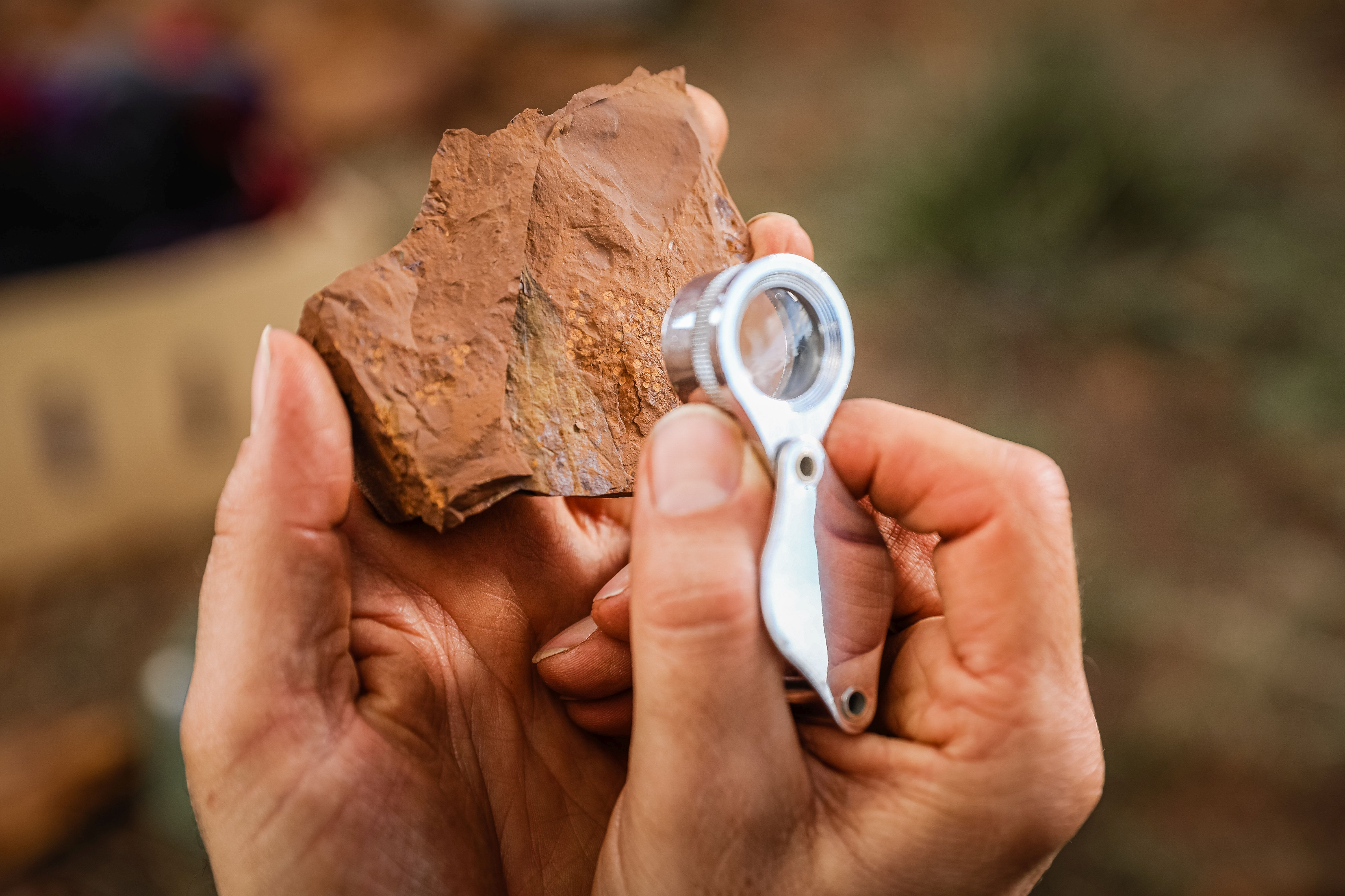 Ancient fossils with a magnifying glass