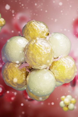 Artist impression of cholesterol