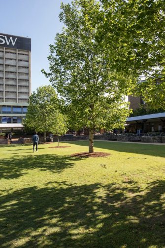 Sunny UNSW Library lawn