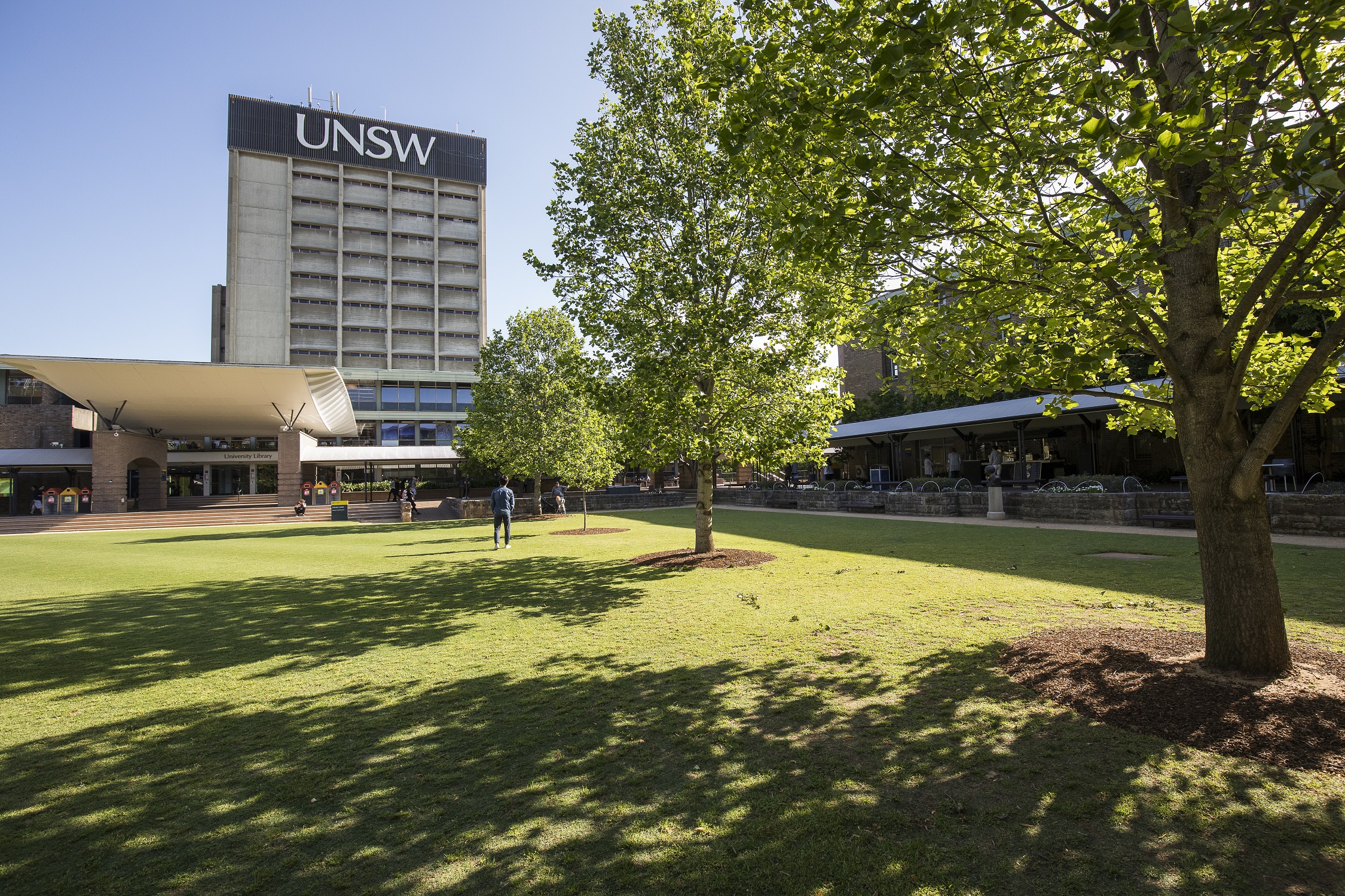 Sunny UNSW Library lawn