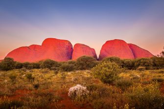 Kata Tjuta at dusk with clear winter sky, Uluru-Kata Tjuta National Park, Northern Territory, Australia